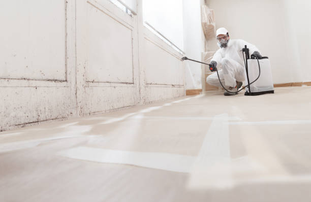 24/7 Emergency Basement Mold Remediation experts in Boxborough, MA